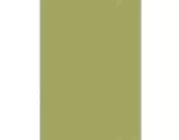 Chemin de table Olive 40x25m TNT